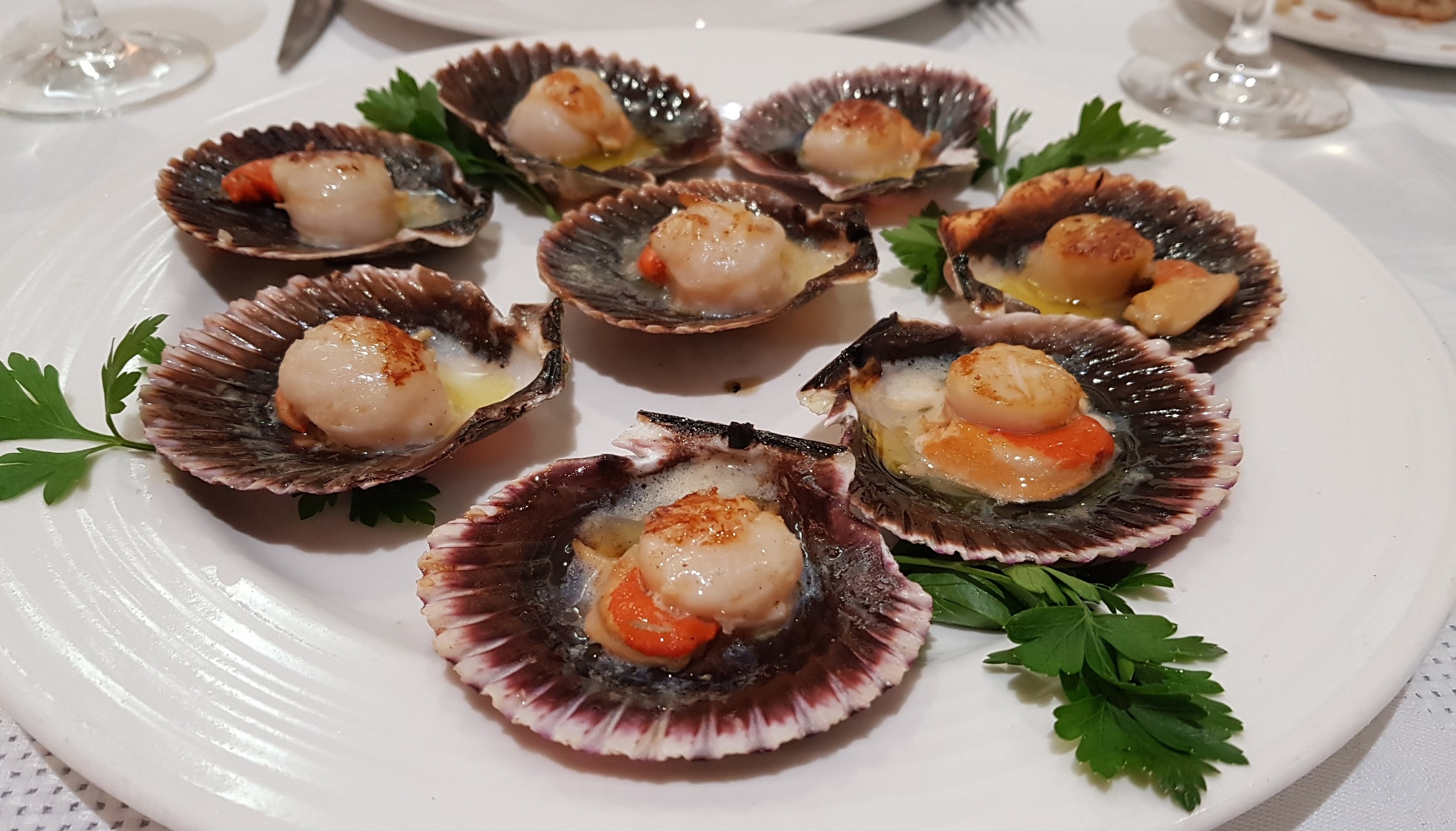 Don-Quijote-Plato de Zamburiñas