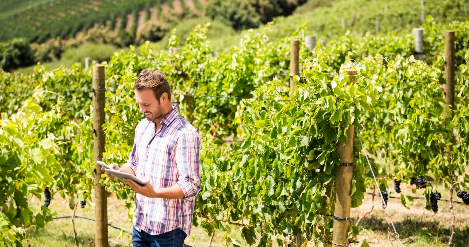 bodegas-digitalizacion