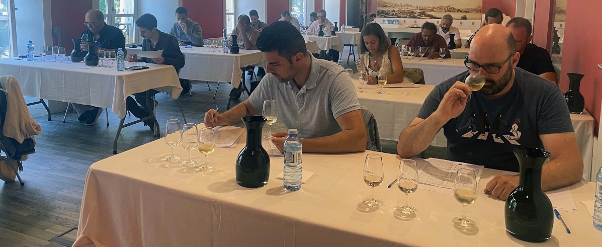 Asociación de Sumilleres de Galicia Gallaecia