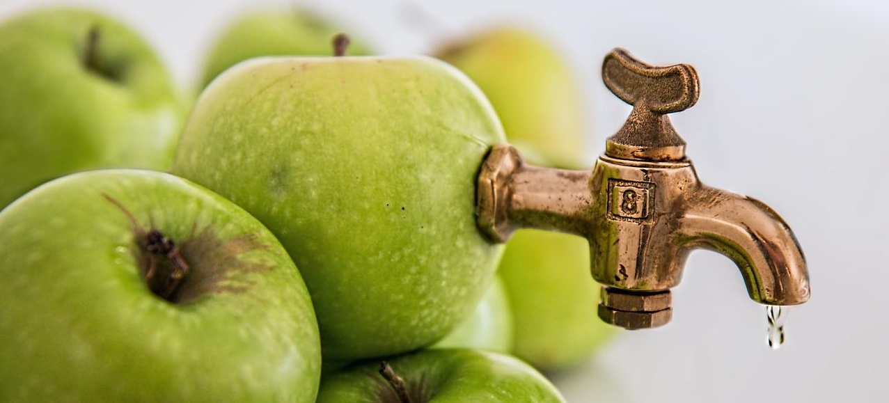 jugo zumo néctar diferencias