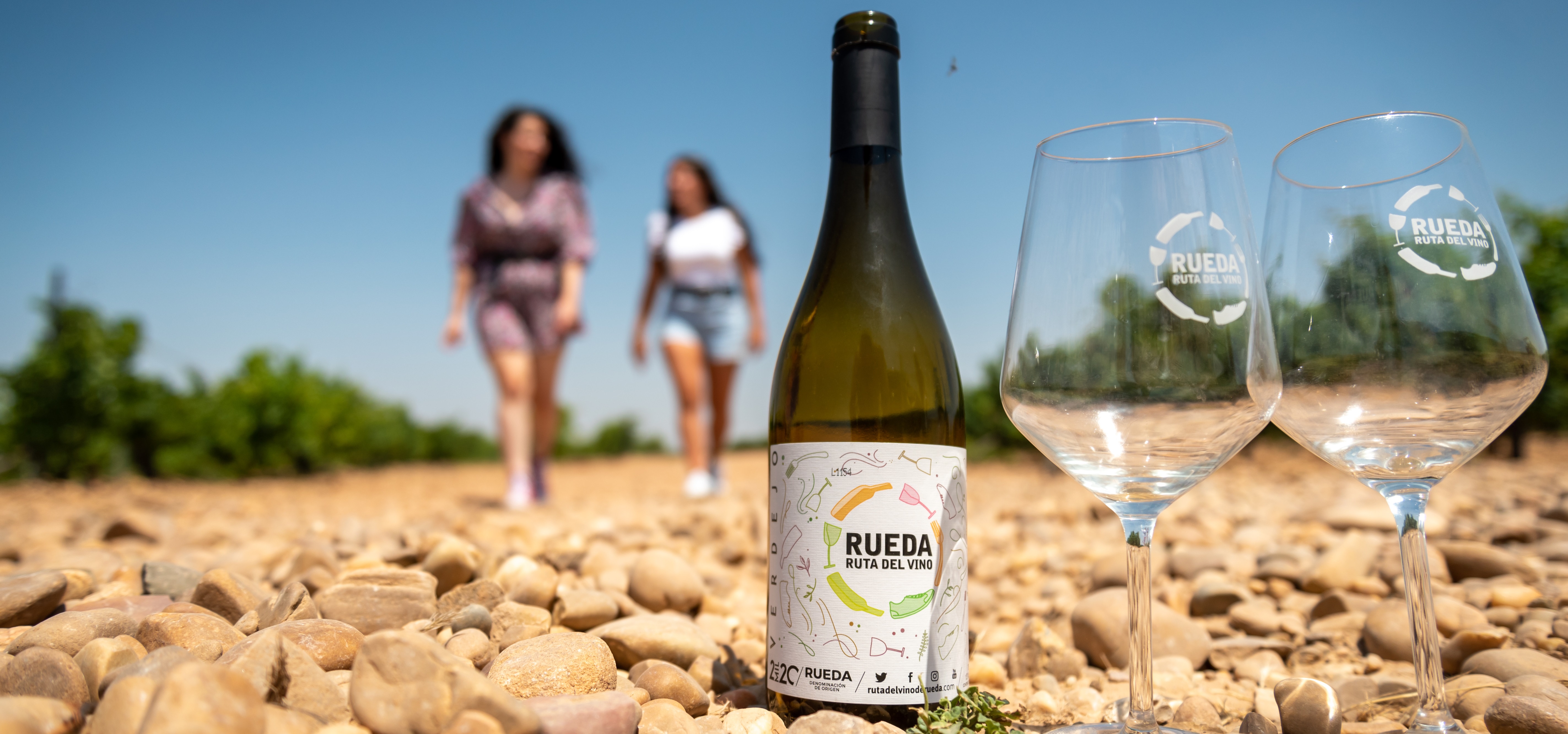 Genérica Viñedo Ruta Vino Rueda