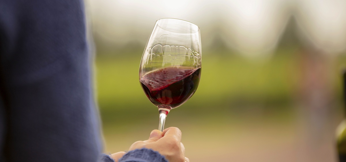 Mendoza-Vino-Argentina