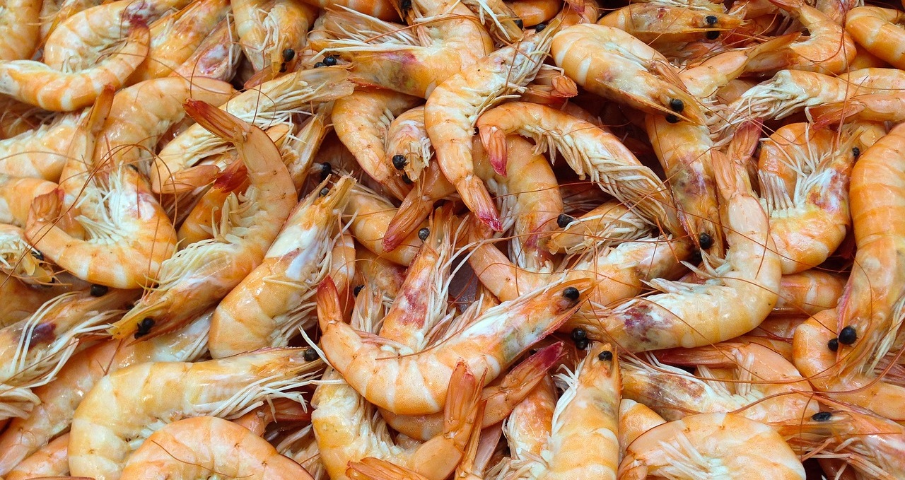 Feria Gastronómica y Ruta del Marisco Tepeaca, Cuaresma 2023