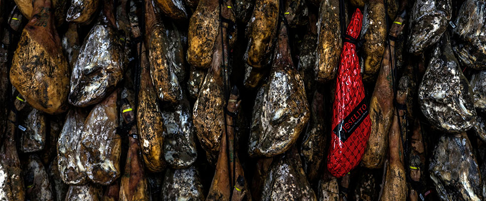 jamón joselito