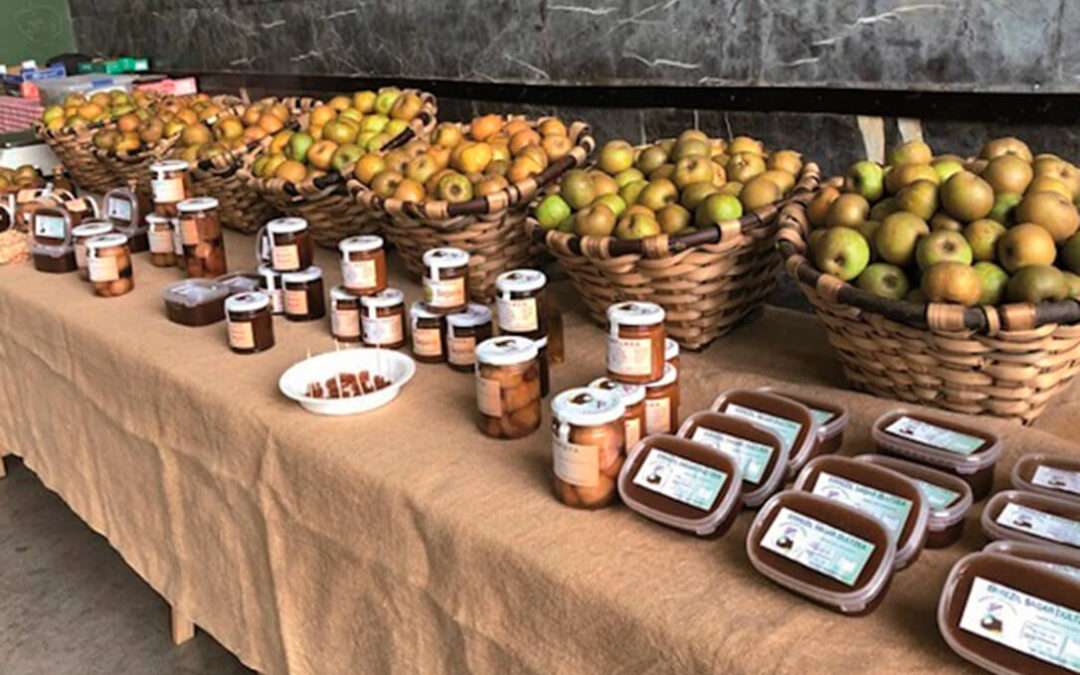 Alimentos sintéticos 