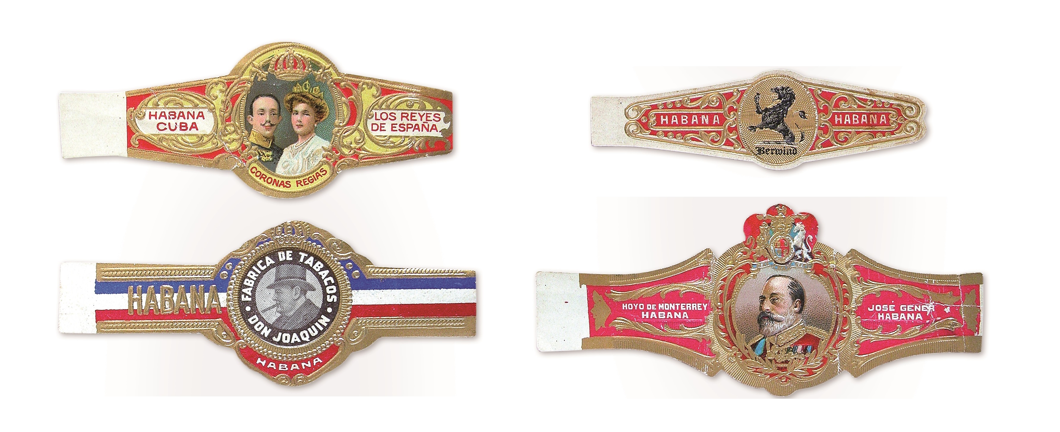 Asociación Vitofílica de Cuba 