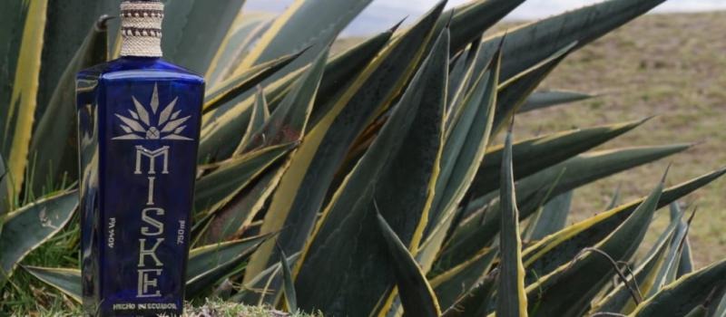 Miske Denominación de Origen