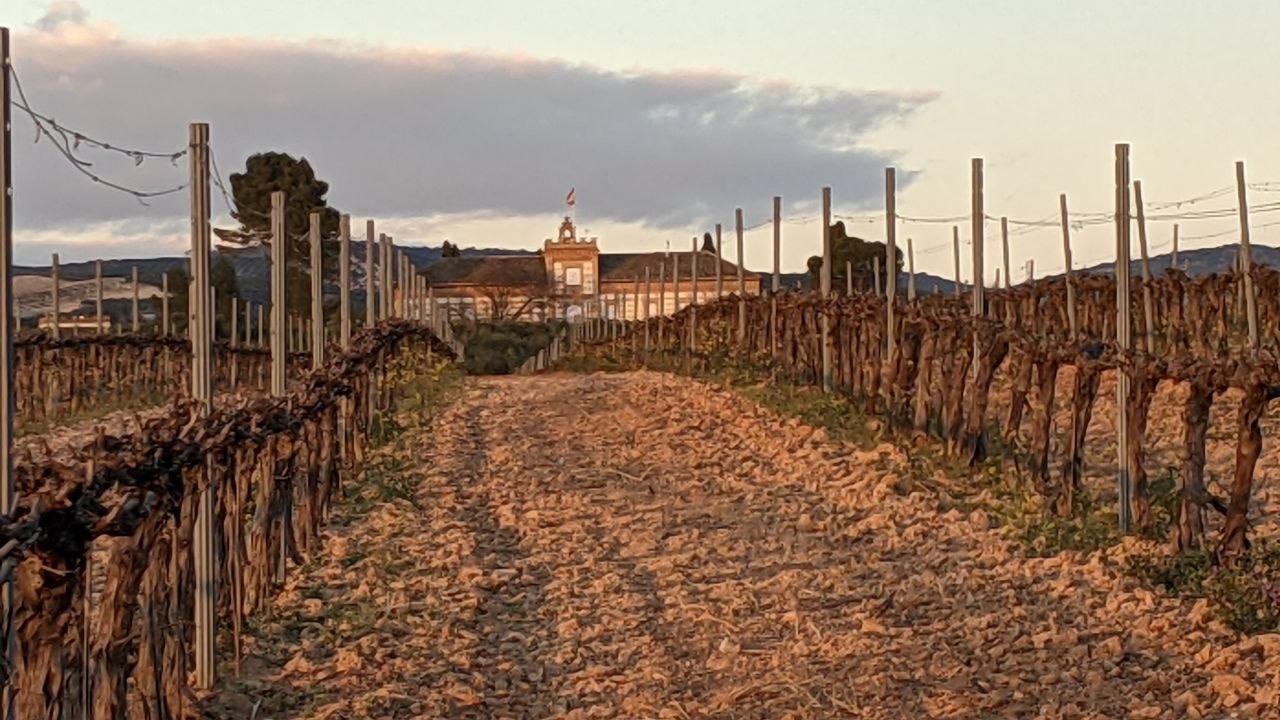 Bodegas La inglesa