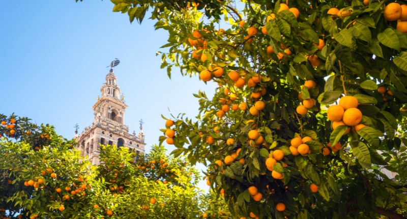 cordoba soletes guia repsol