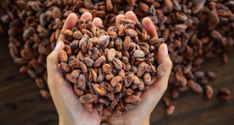 beneficios del cacao