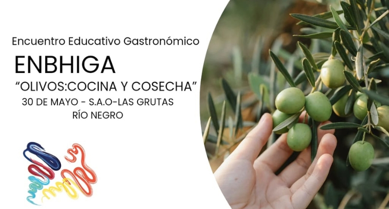 convocatoria Olivos: cocina y cosecha