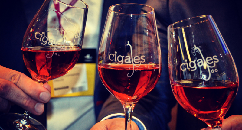 DO Cigales califica de 'Excelente' su añada 2024