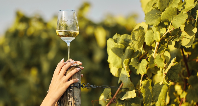 Copa de vino moscatel en cata internacional Muscats du Monde