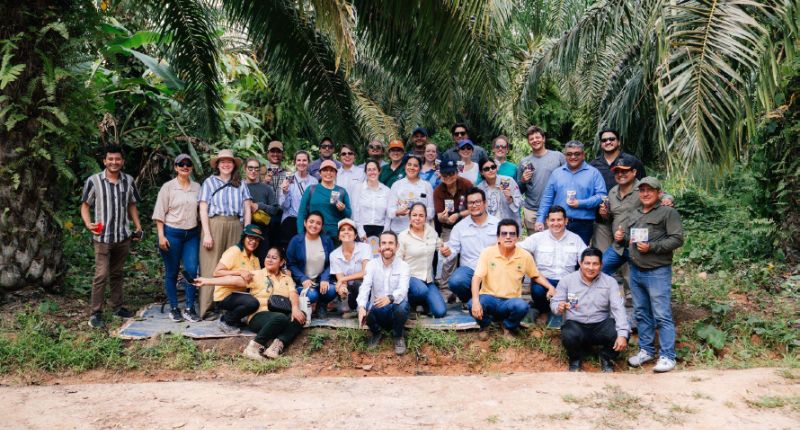 productores de palma de América Latina