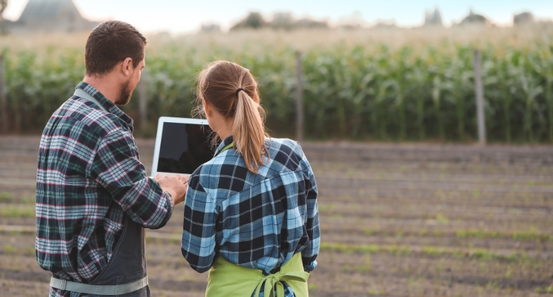 industria agroalimentaria 