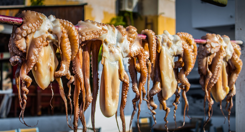 El pulpo gallego en peligro: caída de capturas y precios al alza