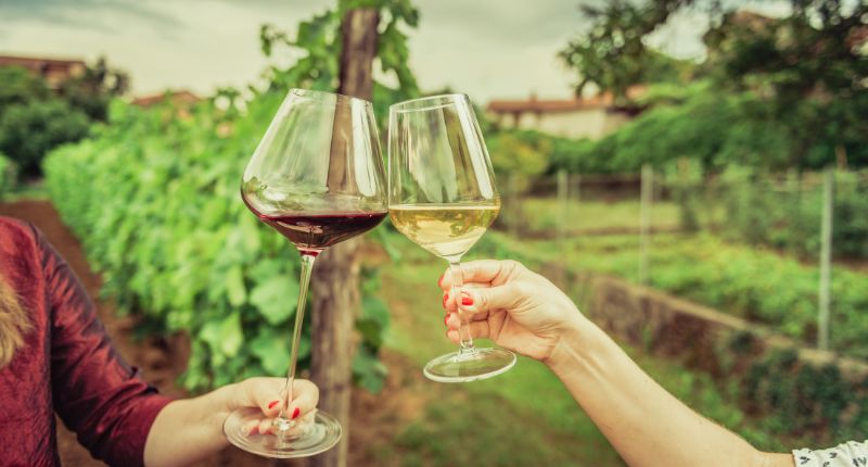 enoturismo vino blanco y tinto