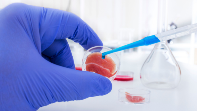 Carne modificada en laboratorio