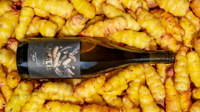 botella  de Oxalis sobre el tuberculo oca