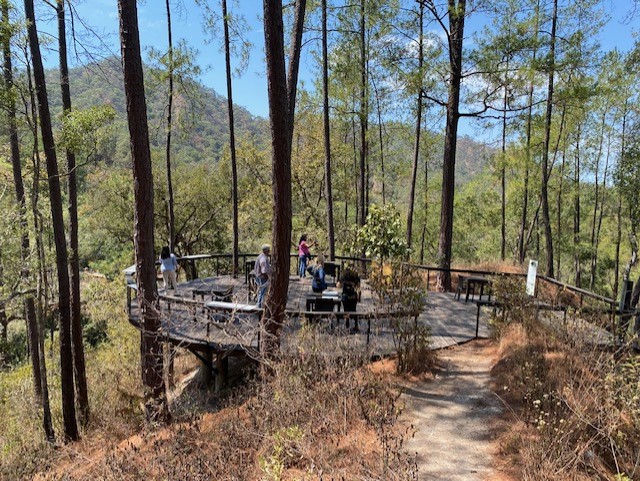 Mirador Jardín Botánico  