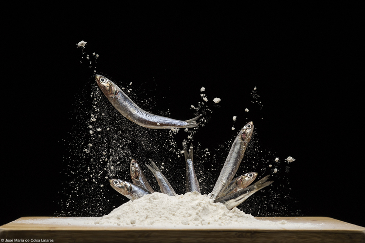 Anchovies In Flour, José María de Colsa Linares. España