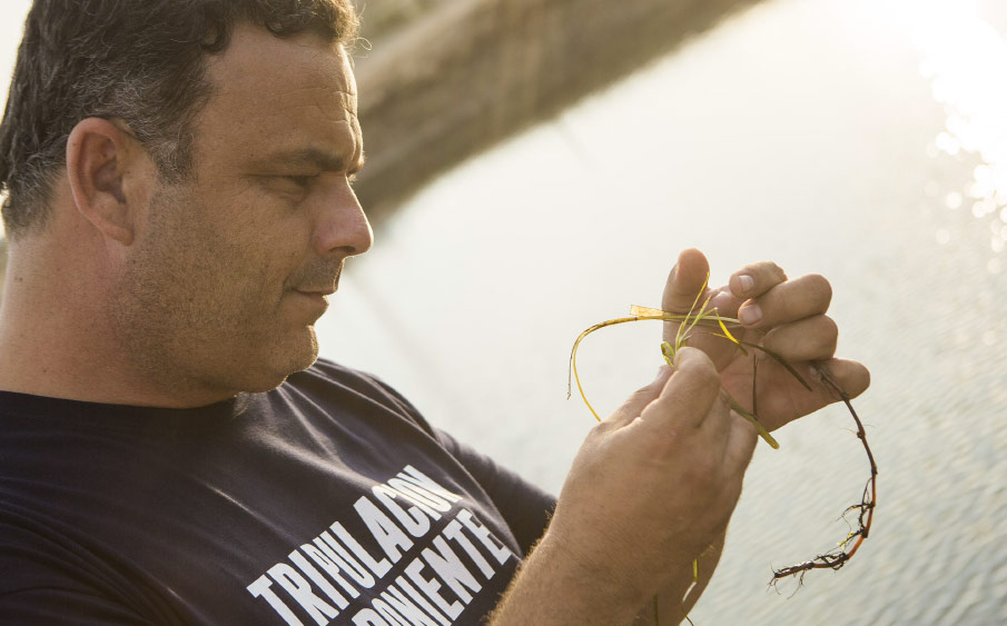 cereal-Marino-Angel-Leon