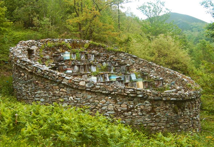 miel-apicultura-principado-de-asturias-cortín