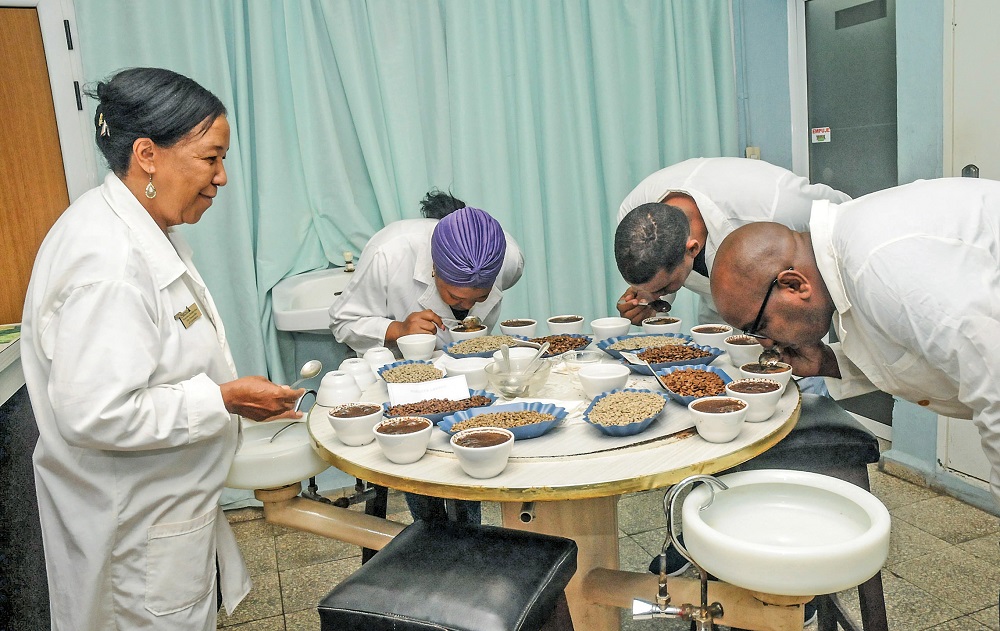 Cafe-Francisca-Holder-Ges