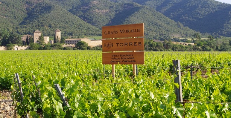 bodegas torres