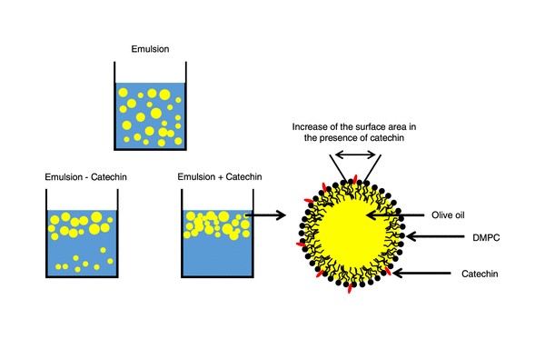 vino tinto-aceite-de-oliva
