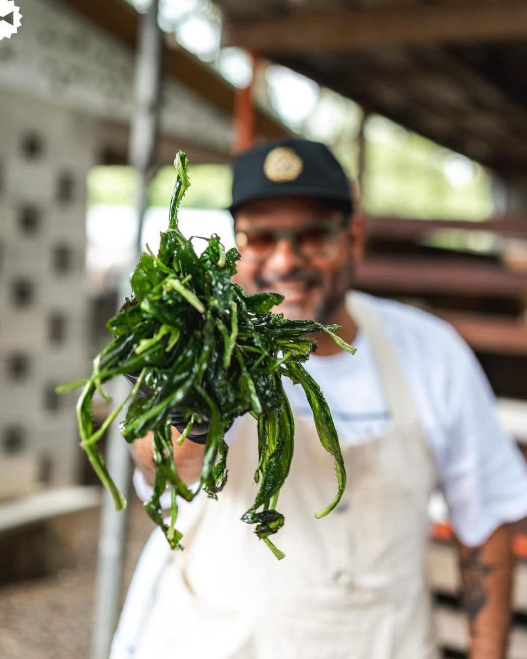 verduras puerto rico