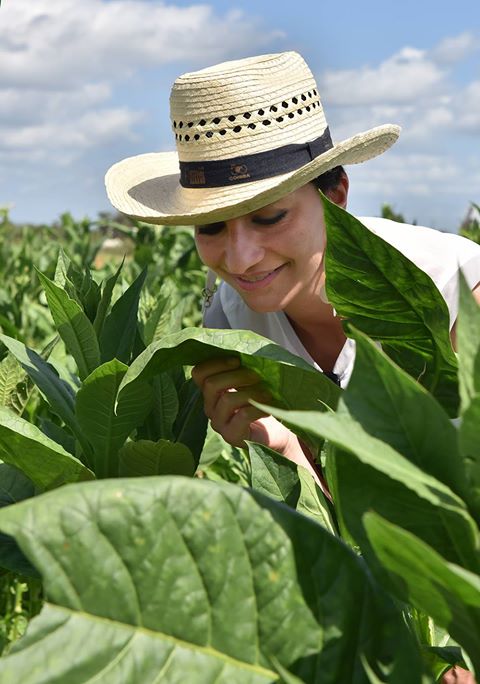 De Habanos, cosechas y sueños