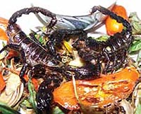 Fogones Exóticos para chefs atrevidos