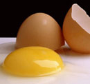 Curiosidades sobre el huevo
