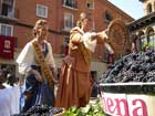España: Fiestas en las Rutas del Vino de España coincidirán con la vendimia de sptiembre
