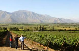 Enoturismo en Chile, las Rutas del Vino