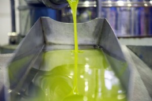 Los aceites alcanzan los 55 millones