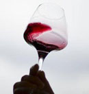 'Wine Future' congregará a un millar de especialistas del vino en Logroño