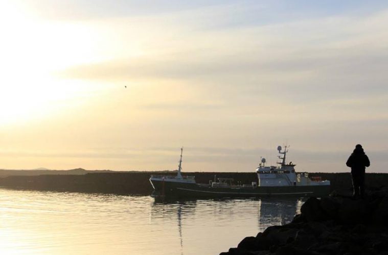 Cómo mejorar los criterios de certificación de pesca sostenible