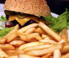 Dieta alta en grasas afecta la calidad del semen