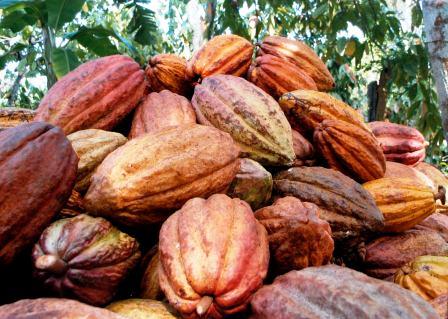 Las Fincas Modelo, una experiencia positiva