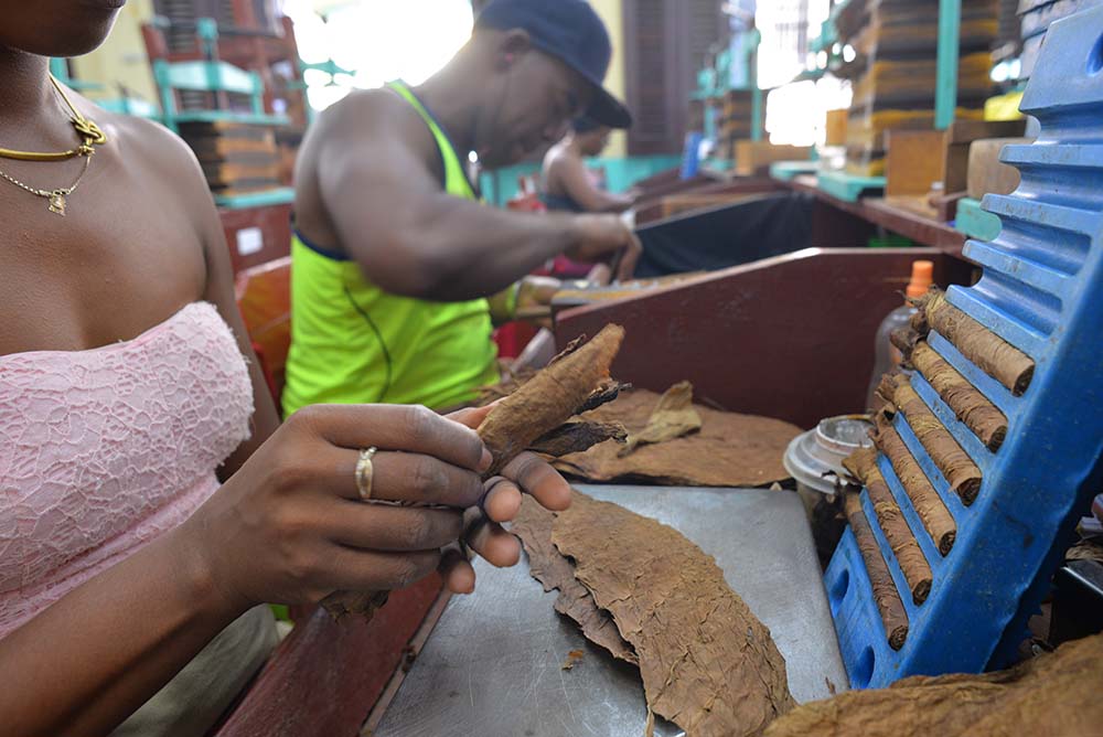 Fábricas de Habanos y prestigio