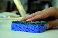 Las esponjas de cocina y estropajos están llenas de patógenos