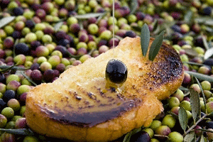 La celebración del “Día de la Tostada” en Arróniz ensalza el aceite navarro