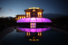 Días de vino y rosas entre viñedos San Valentín