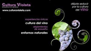 Convenio AEE-Cultura Violeta