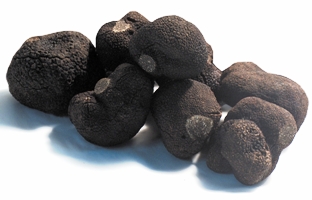 Jornadas de la Trufa en Graus, Huesca