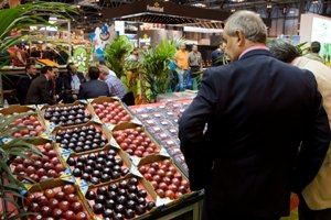 FRUIT ATTRACTION 2012 abre el plazo de inscripción de expositores