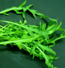 La Rúcula, una mala hierba convertida en vegetal de lujo