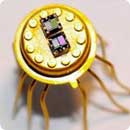 Científicos alemanes crean tecnología innovadora para lograr alimentos más frescos y saludables